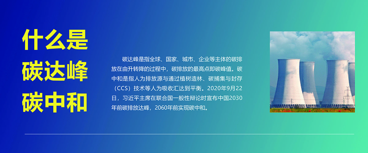 碳达峰和碳中是什么意思